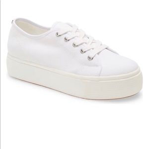 Steve Madden Sneakers